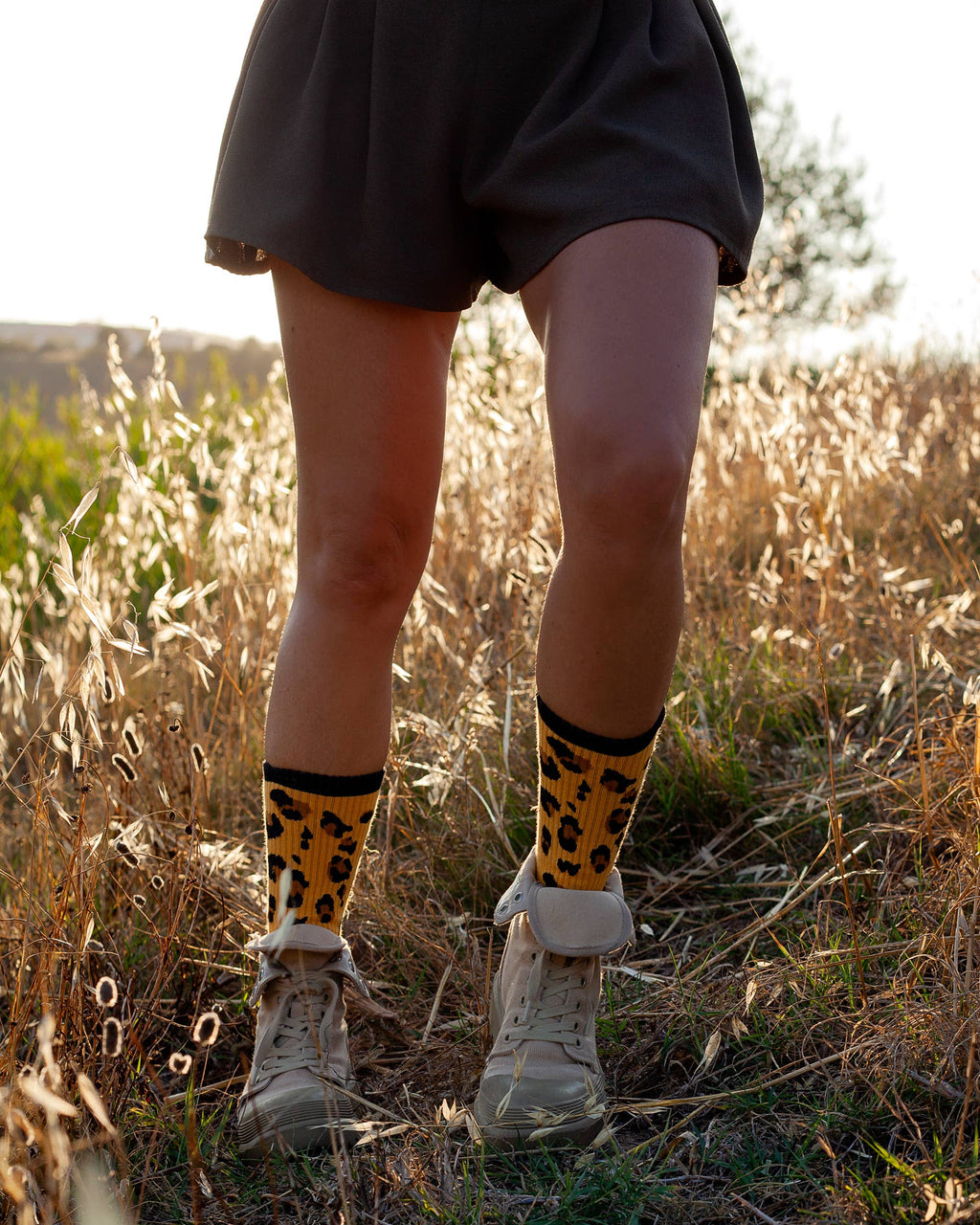 Leo Sport Socks