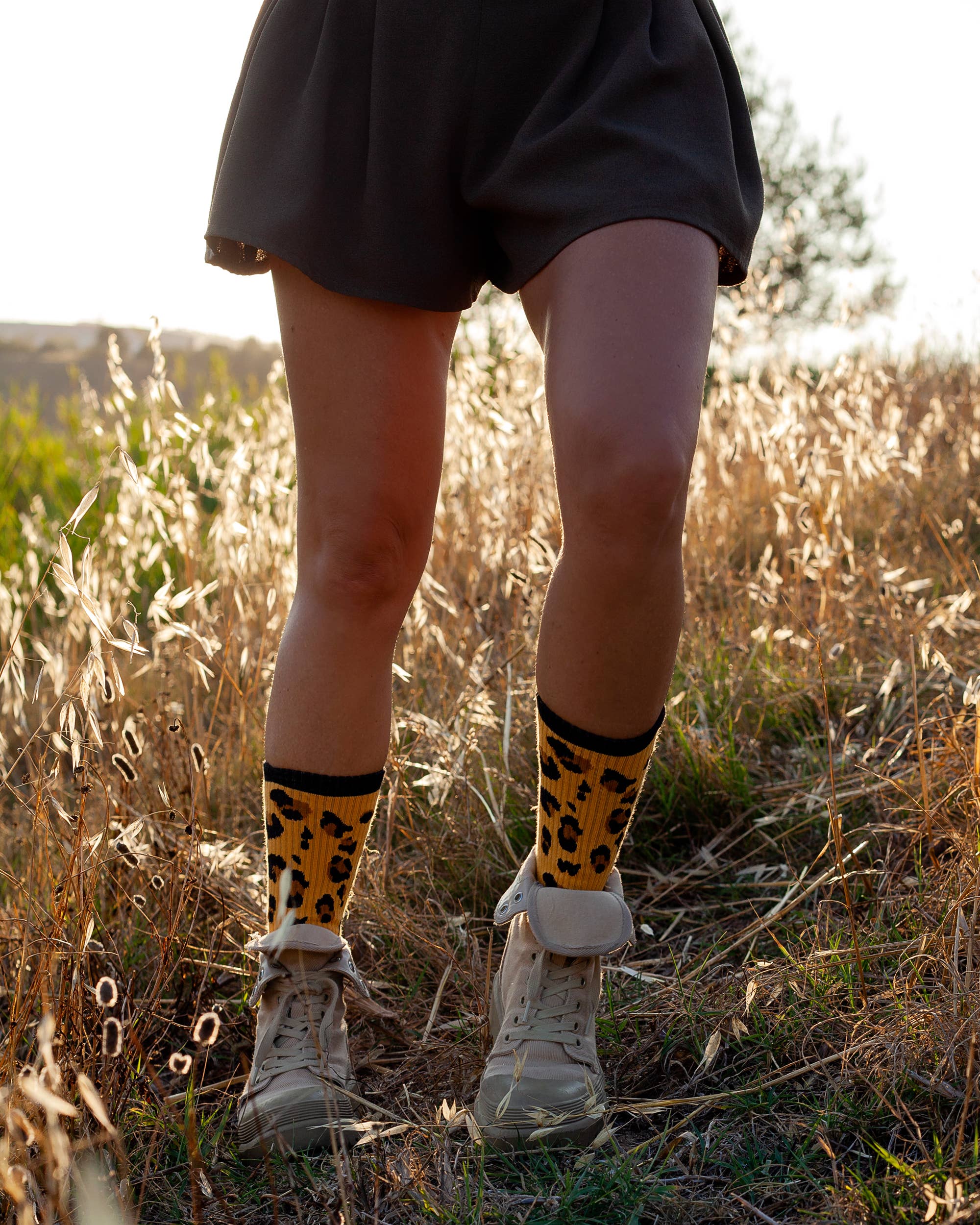 Leo Sport Socks