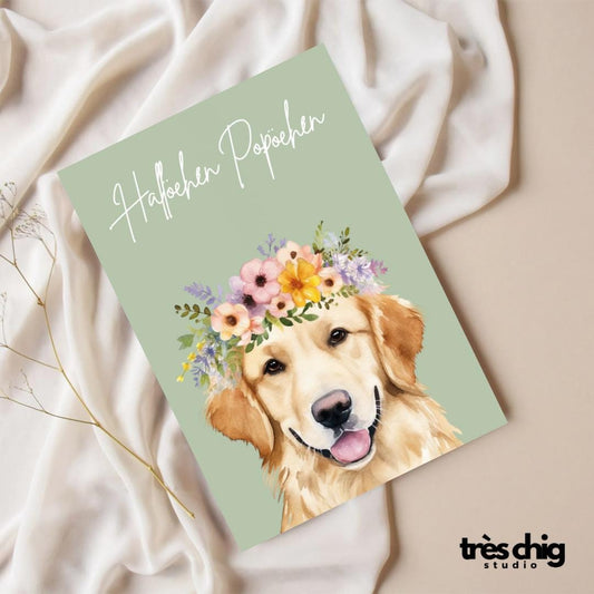 Hallöchen Popöchen Hund | Postkarte