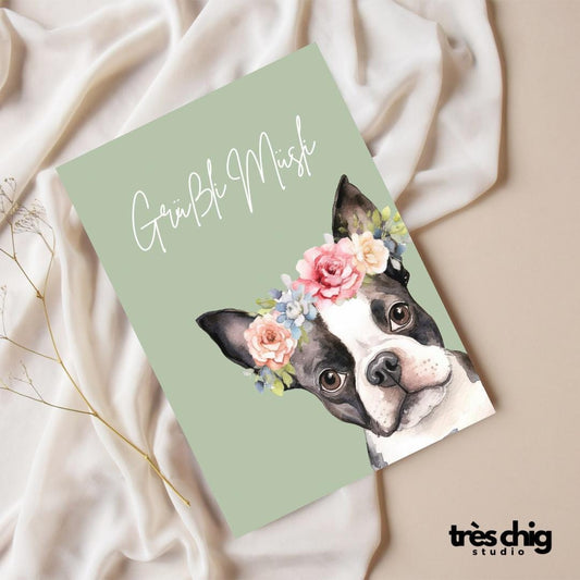 Grüßli Müsli Hund | Postkarte